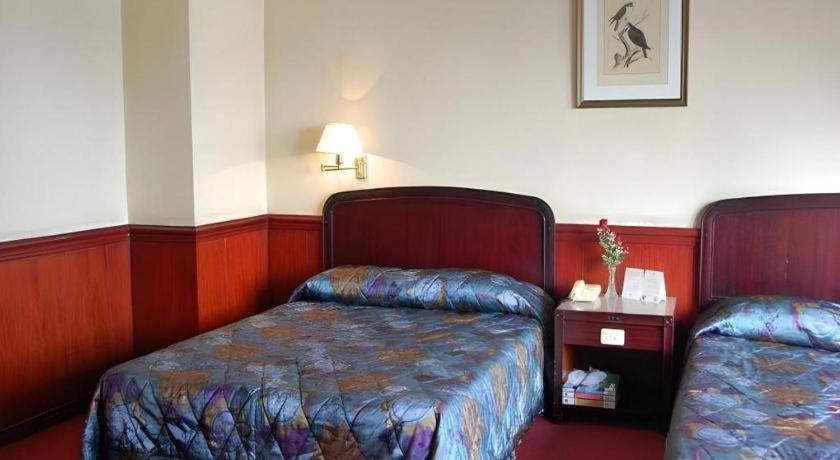 Great Eastern Hotel Quezon City Extérieur photo